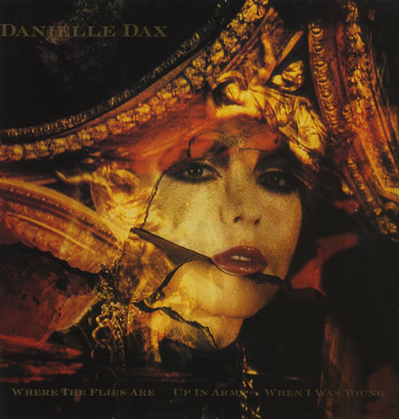 Danielle Dax Where The Flies Are UK 12