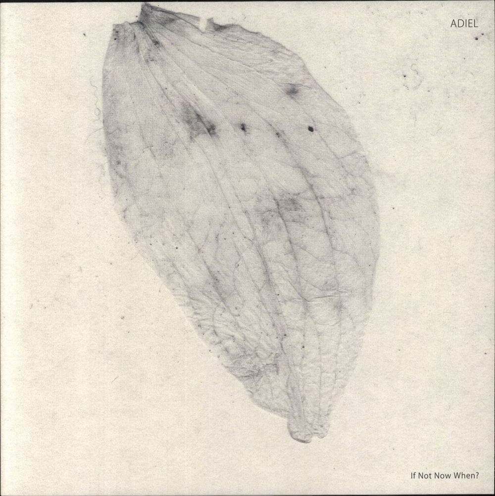 Adiel If Not Now When? German 12" vinyl single (12 inch record / Maxi-single) SA036