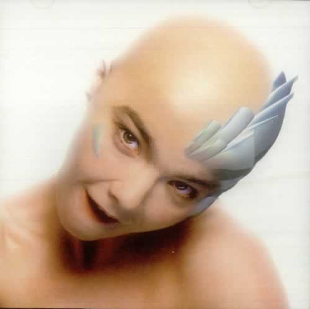 Björk Hunter UK CD single (CD5 / 5") 222TP7CDL