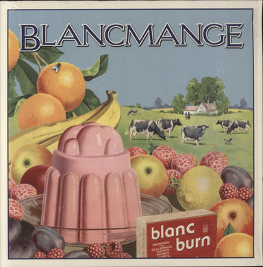 Blancmange Blanc Burn UK vinyl LP album (LP record) BCR001