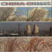 China Crisis Working With Fire And Steel UK vinyl LP album (LP record) V2286