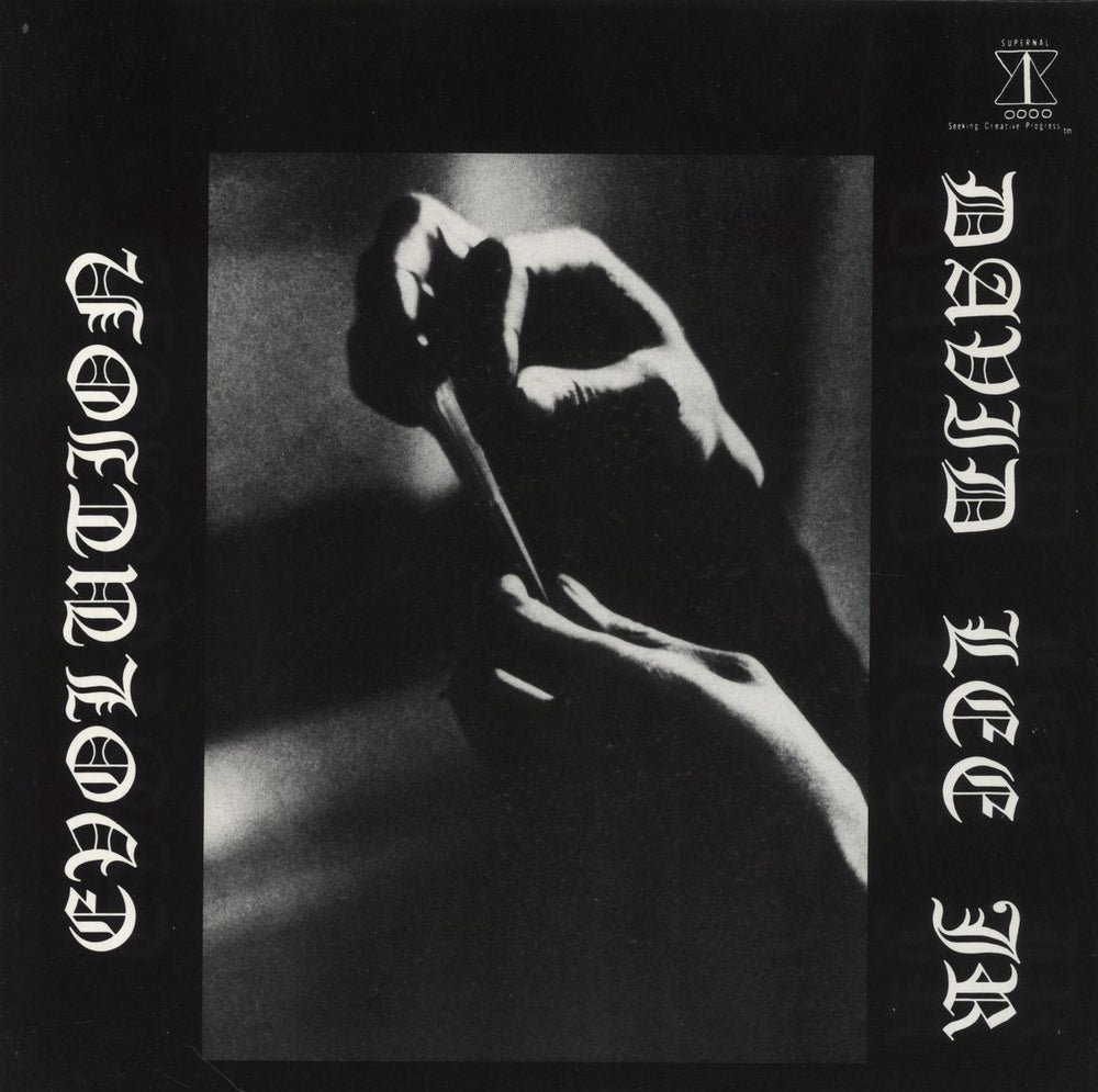 David Lee Jr. Evolution UK vinyl LP album (LP record) USLP37