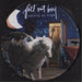 Fall Out Boy Infinity On High US picture disc LP (vinyl picture disc album) 000810901