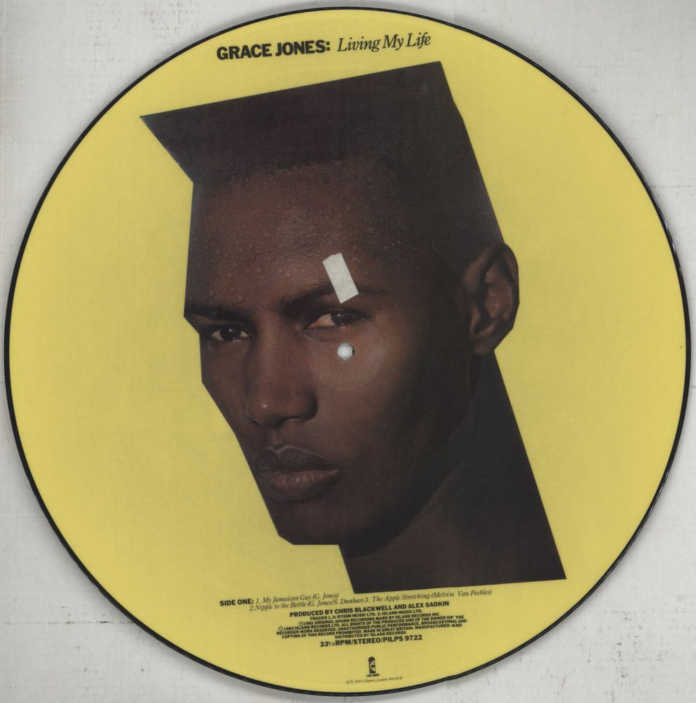 Grace Jones Living My Life UK picture disc LP (vinyl picture disc album) PILPS9722