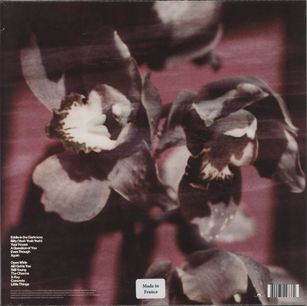 Inhaler Open Wide - Glow In The Dark + Alternate Artwork Cover - Sealed Irish vinyl LP album (LP record) 602475097389