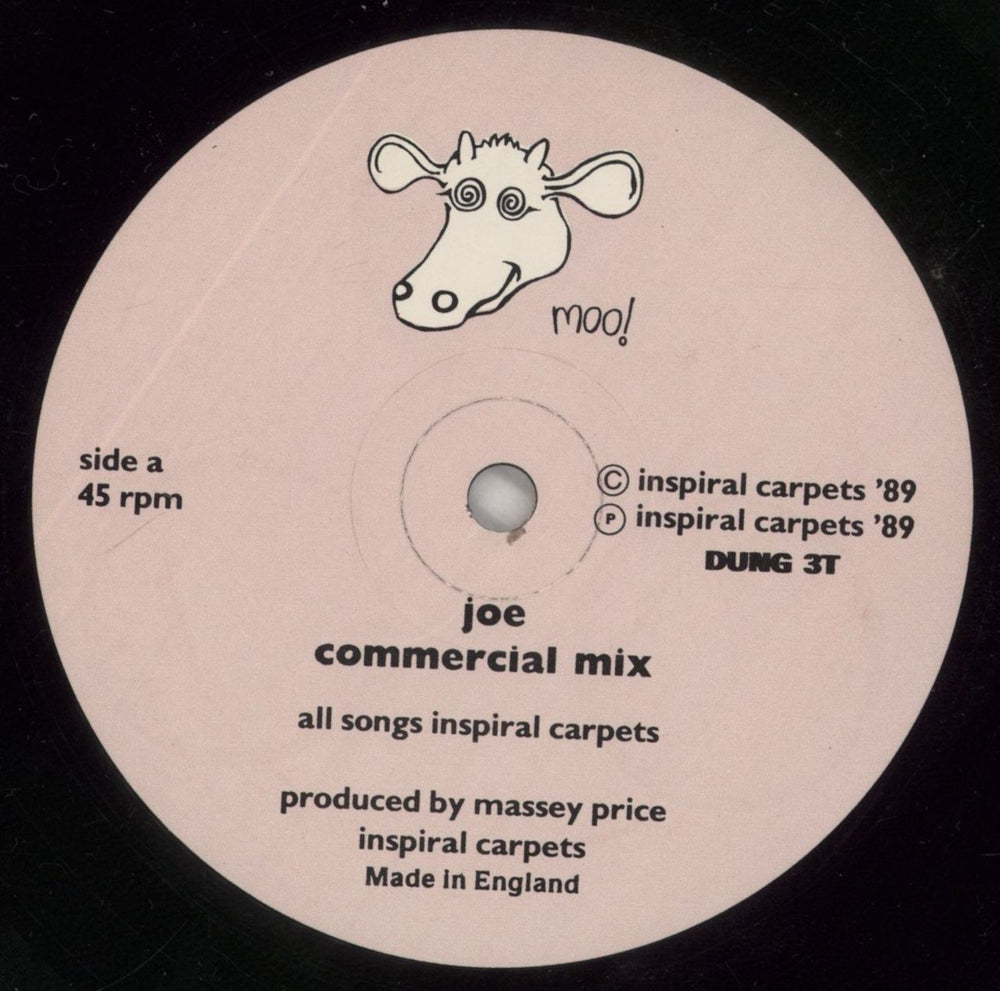 Inspiral Carpets Joe UK 12" vinyl single (12 inch record / Maxi-single) INS12JO393126