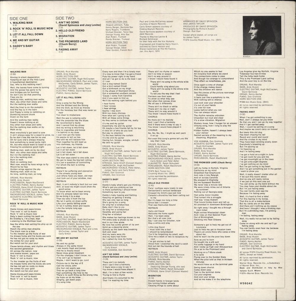 James Taylor Walking Man Italian vinyl LP album (LP record)