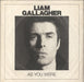 Liam Gallagher As You Were - 180gm - EX UK vinyl LP album (LP record) 0190295774929