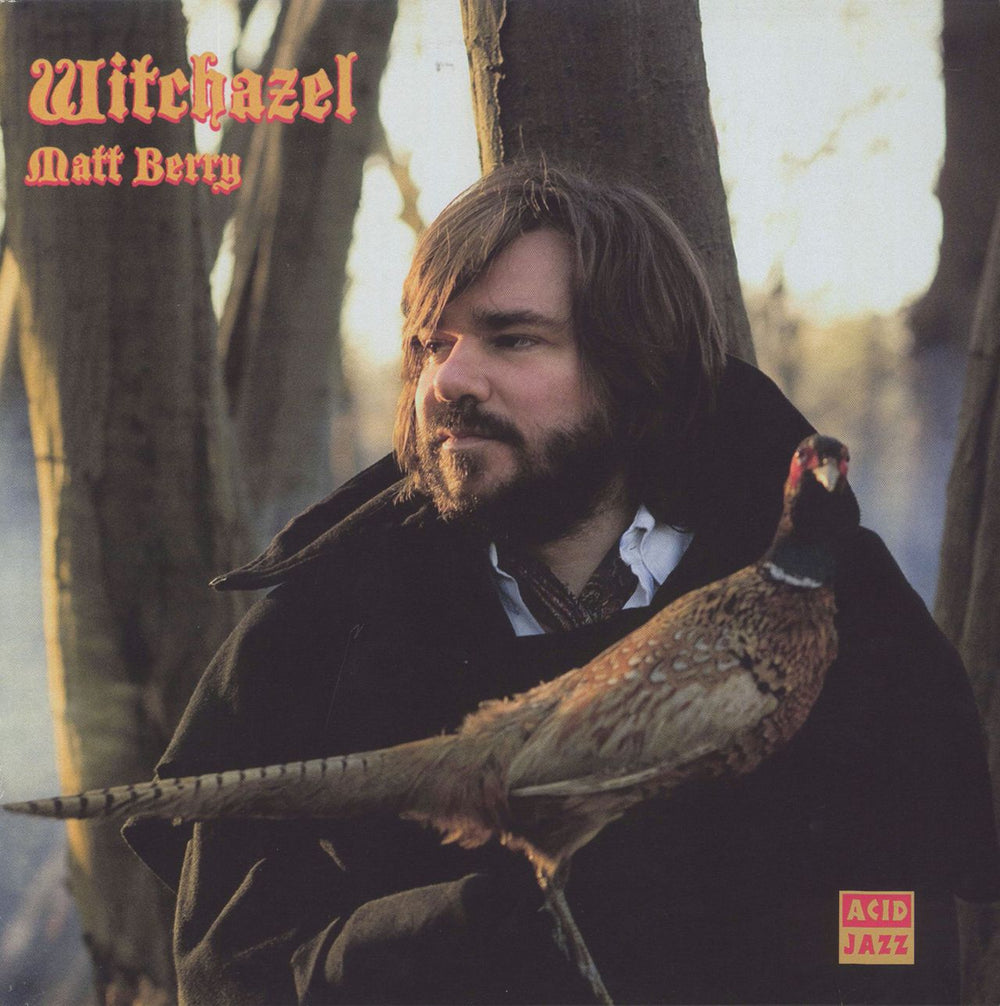 Matt Berry Witchazel - EX UK vinyl LP album (LP record) AJXLP251