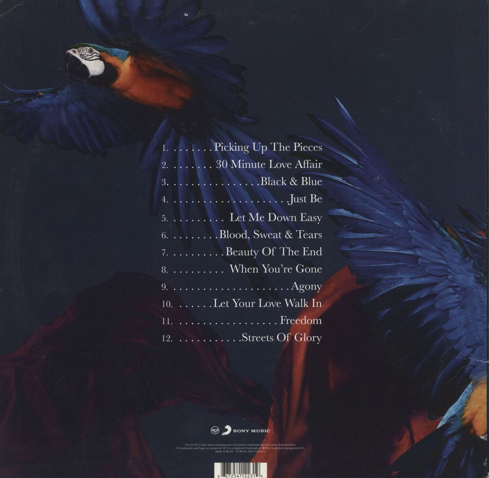 Paloma Faith Fall To Grace - EX UK 2-LP vinyl record set (Double LP Album) 887254122319