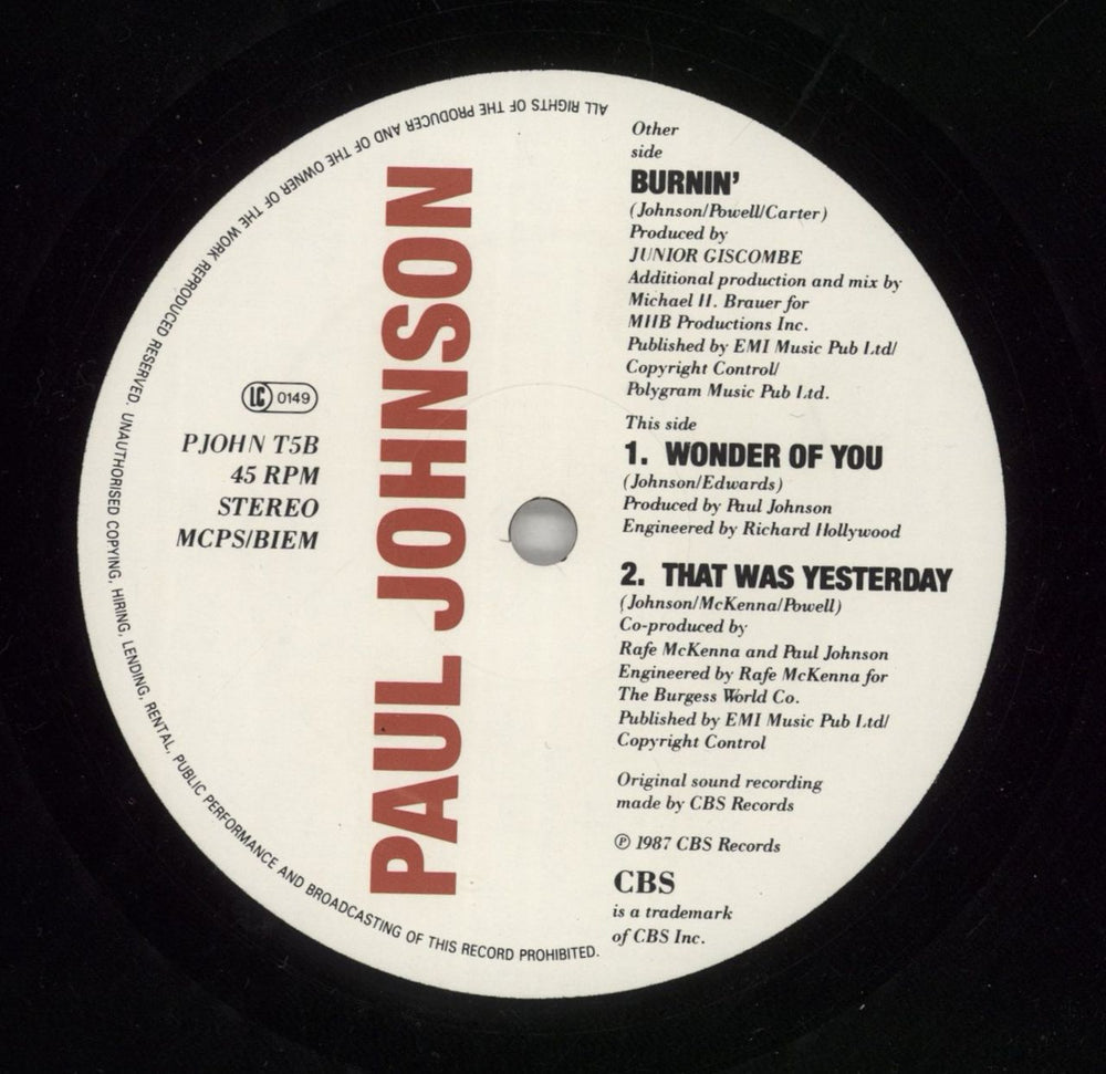 Paul Johnson Burnin' UK 12" vinyl single (12 inch record / Maxi-single) PJS12BU867357