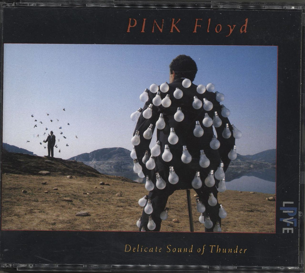 Pink Floyd Delicate Sound Of Thunder Dutch 2 CD album set (Double CD) CDS7914802