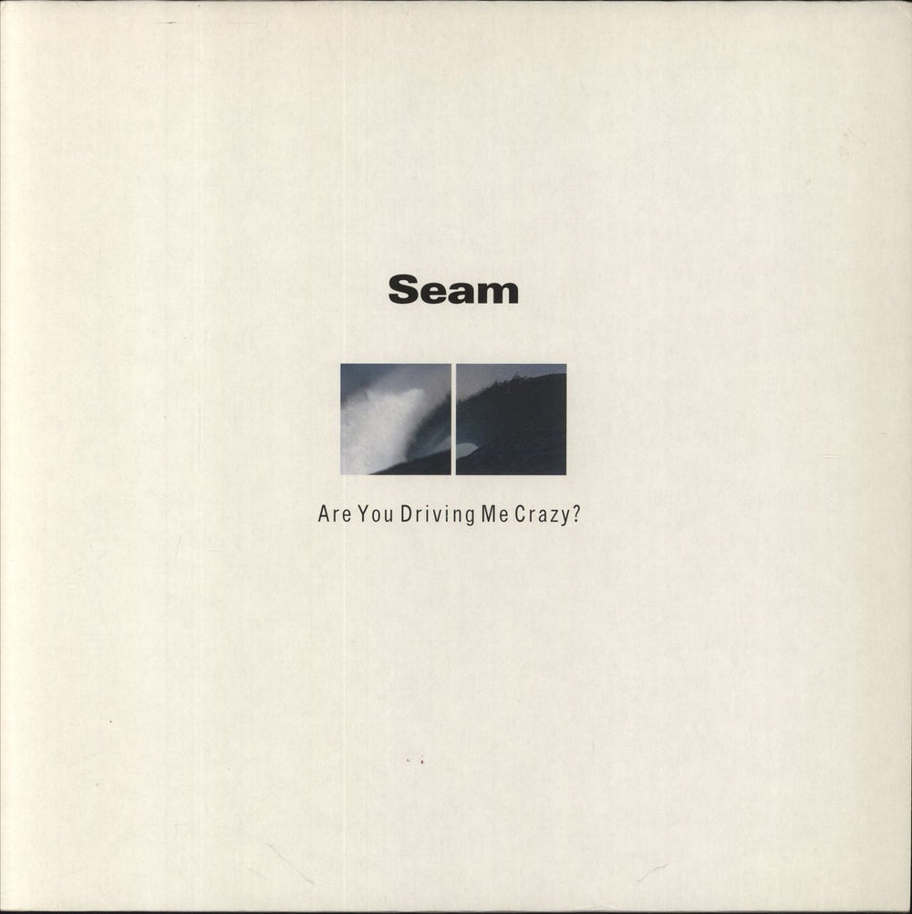 Seam Are You Driving Me Crazy? UK vinyl LP album (LP record) 04960-1