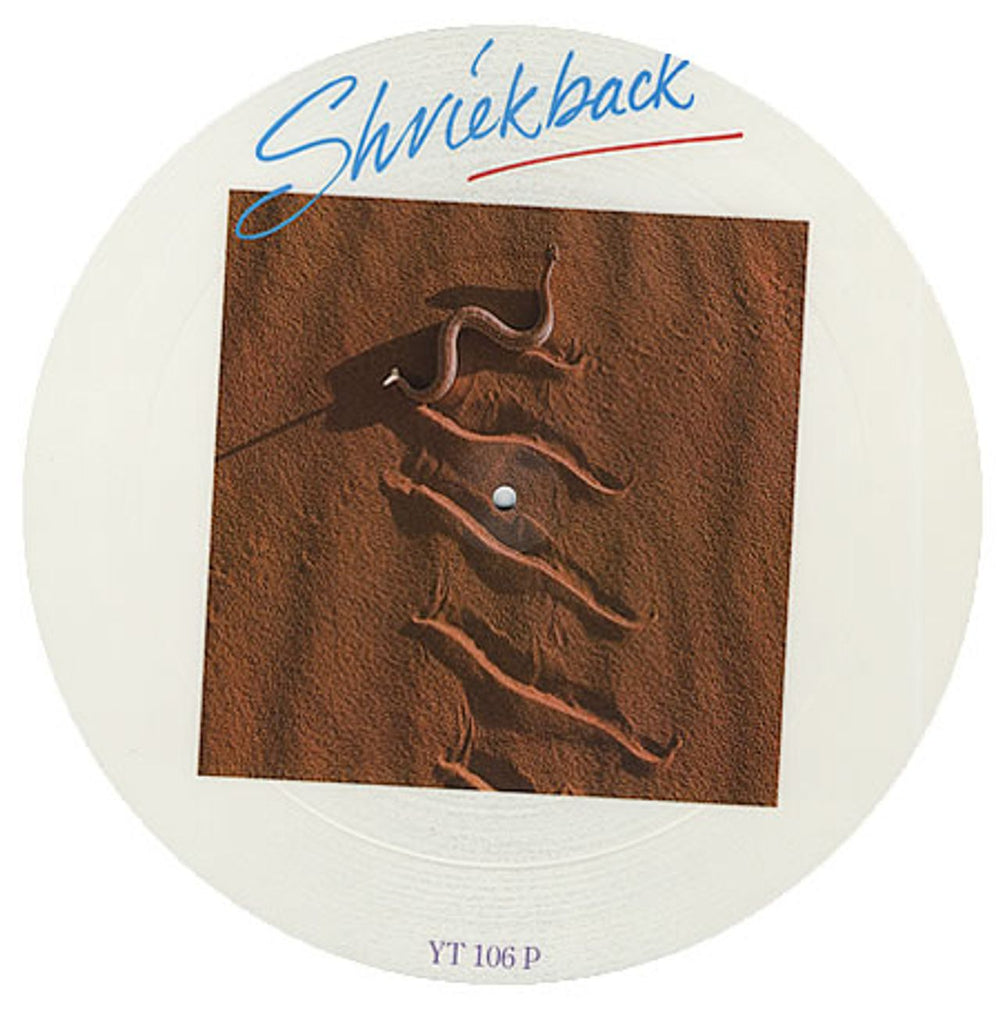 Shriekback Accretions (Monstrous Dance Mix) UK 12" vinyl picture disc (12 inch picture record) YT106P