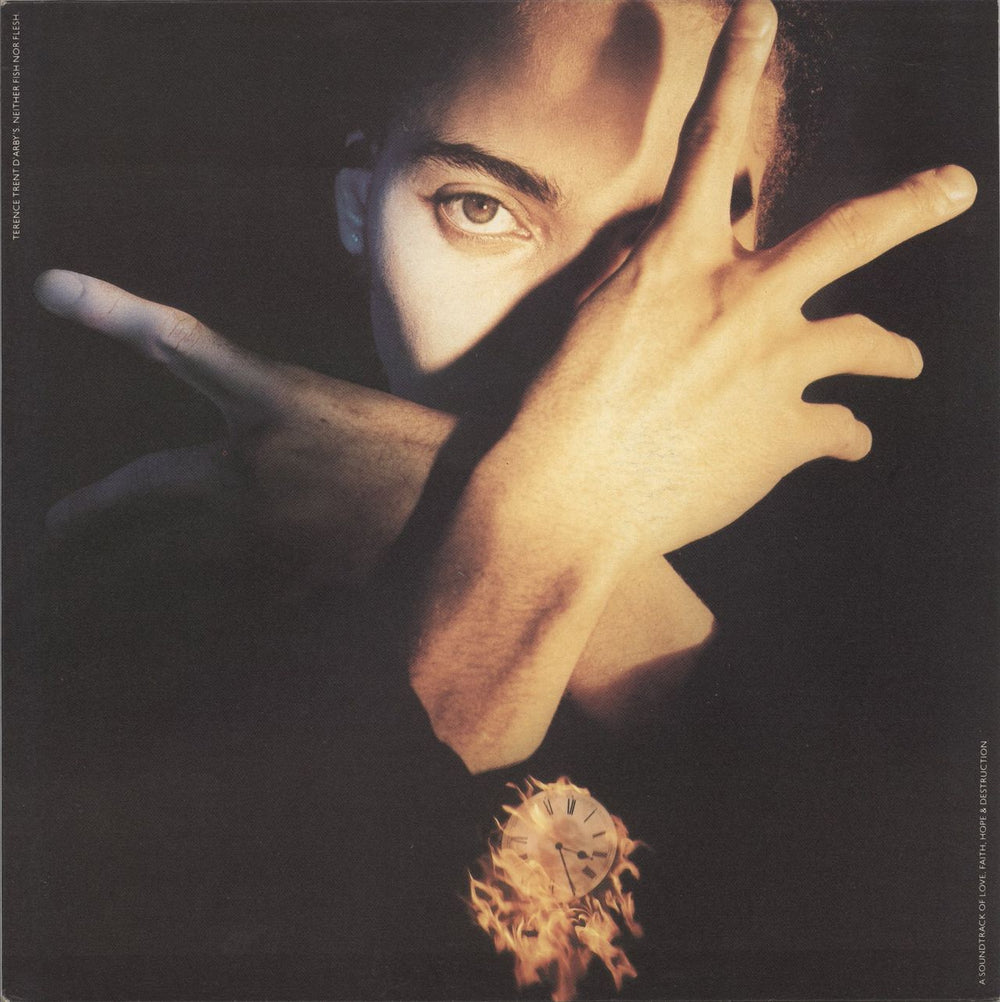 Terence Trent D'Arby Neither Fish Nor Flesh Dutch vinyl LP album (LP record) 465809-1