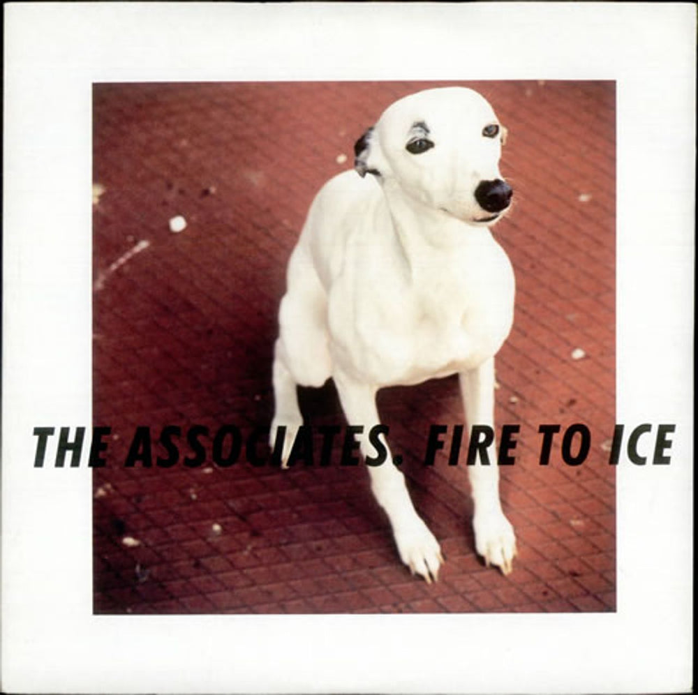 The Associates Fire To Ice UK 10" vinyl single (10 inch record) YRX49