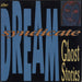 The Dream Syndicate Ghost Stories Canadian vinyl LP album (LP record) 773341-1