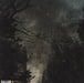 Throwing Muses Purgatory Paradise - RSD UK 2-LP vinyl record set (Double LP Album) 809236158918