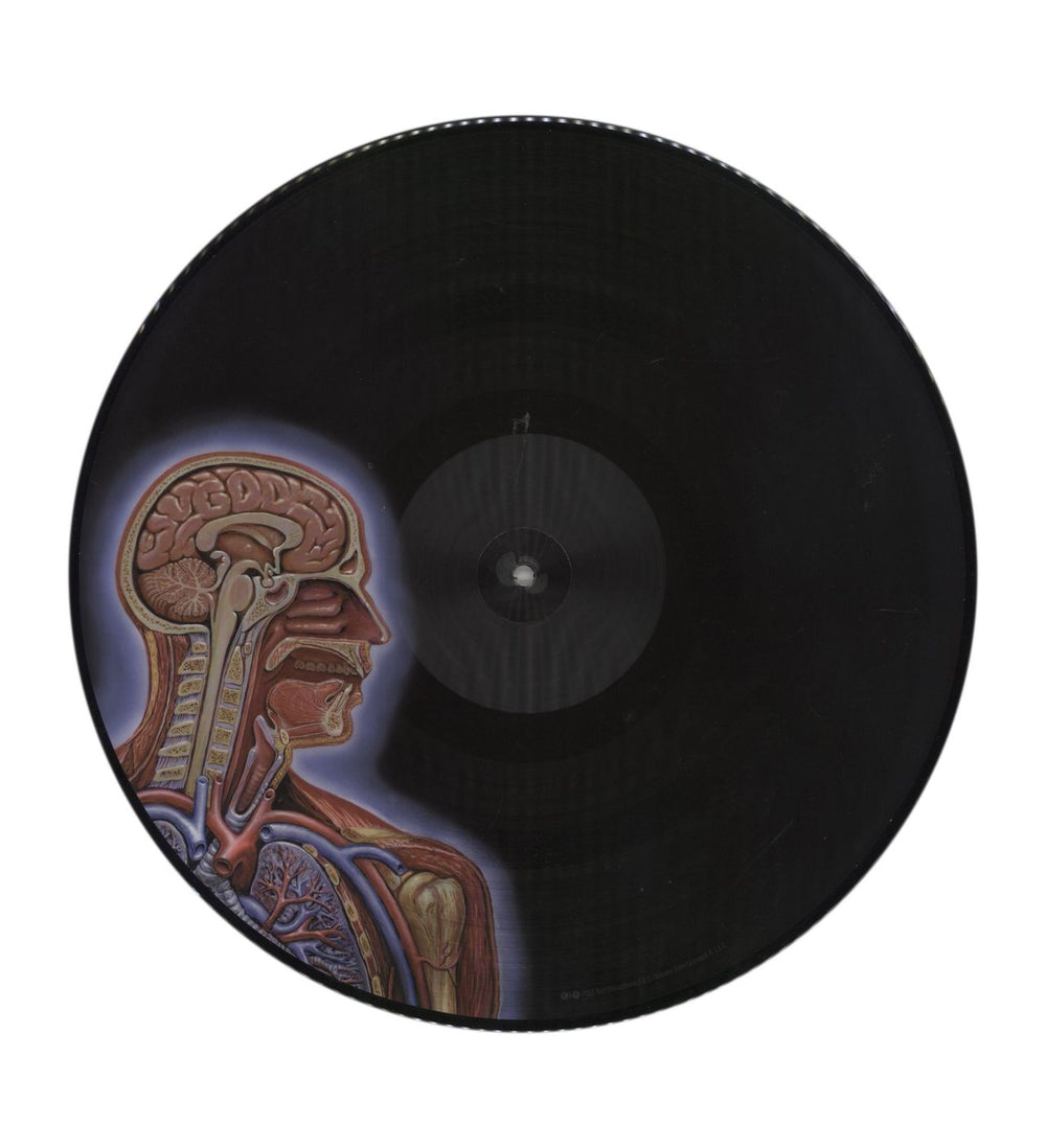 Tool Lateralus - EX US picture disc LP (vinyl picture disc album) OOTPDLA853867