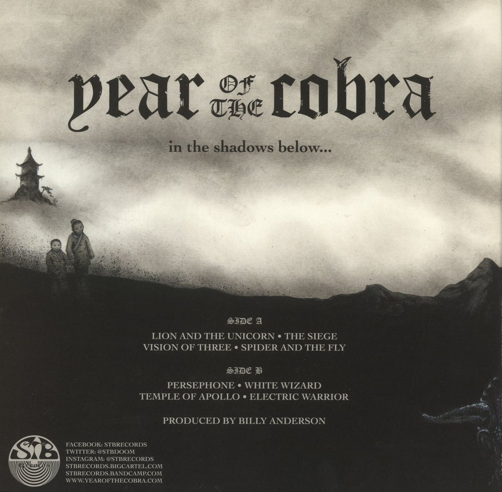 Year Of The Cobra ... In The Shadows Below - Black & Blue Pinwheel Vinyl US vinyl LP album (LP record)