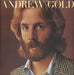 Andrew Gold Go Back Home Again - Picture Sleeve UK 7" vinyl single (7 inch record / 45) K13087