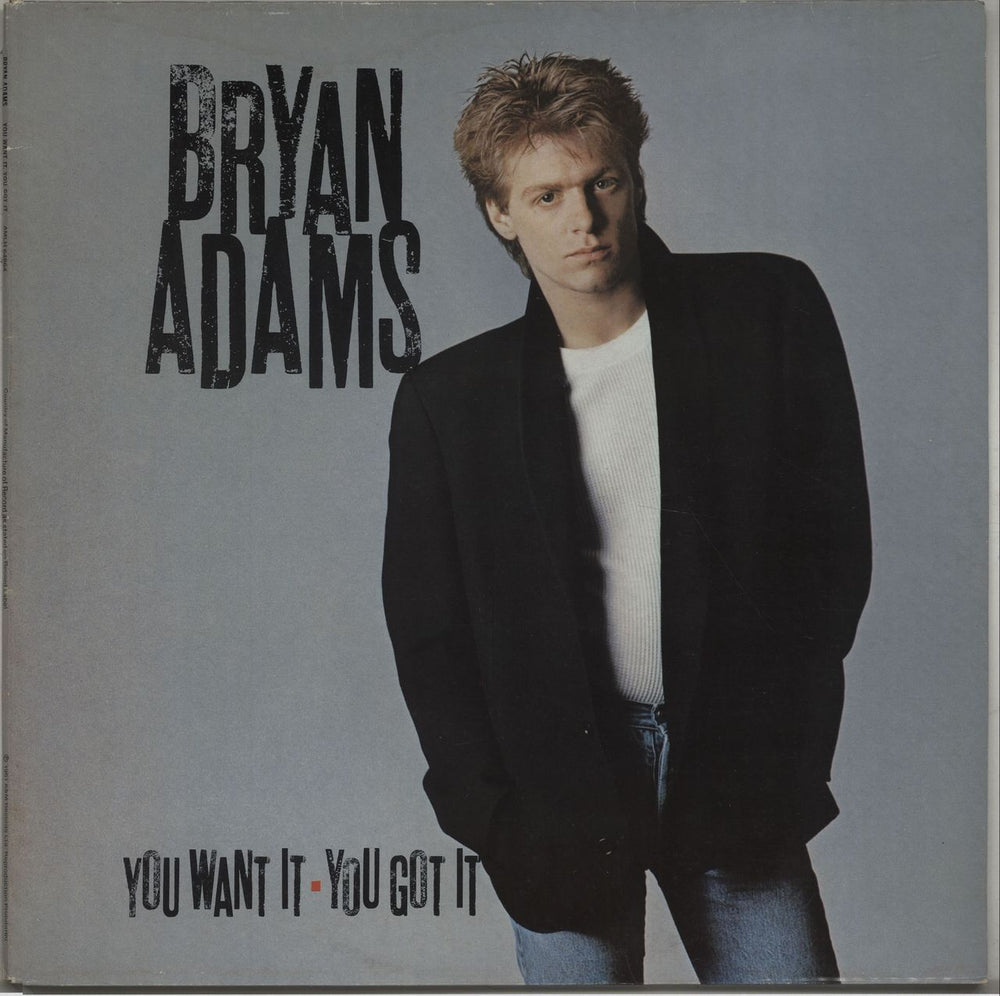 Bryan Adams You Want It, You Got It UK vinyl LP album (LP record) AMLH64864