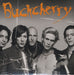 Buckcherry Check Your Head US Promo CD single (CD5 / 5") DRMR-13726-2
