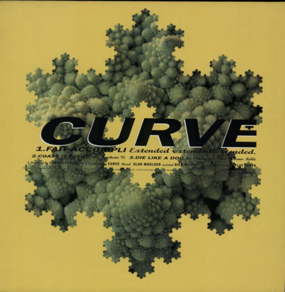 Curve Fait Accompli UK 12" vinyl single (12 inch record / Maxi-single) ANXTT36