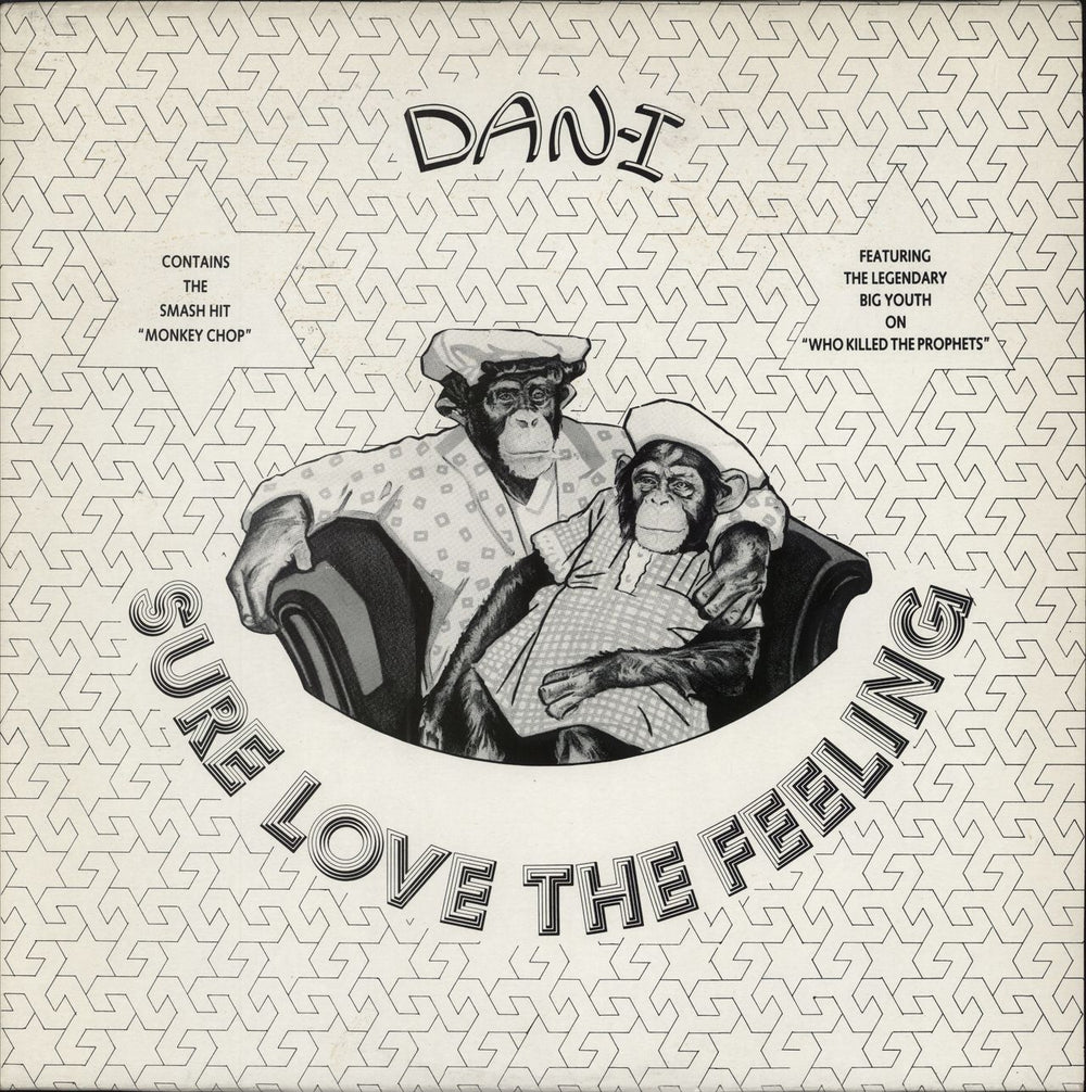 Dan-I Sure Love The Feeling UK vinyl LP album (LP record) ALPSEL001