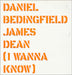 Daniel Bedingfield James Dean UK Promo 12" vinyl single (12 inch record / Maxi-single) DB1