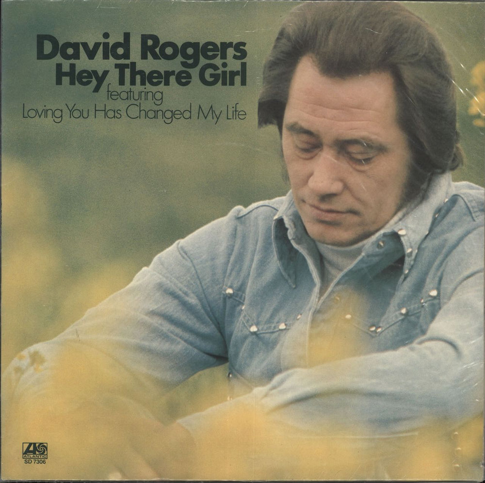 David Rogers Hey There Girl US vinyl LP album (LP record) SD7306