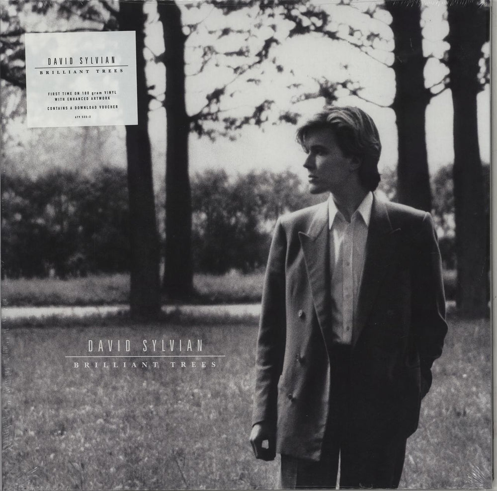 David Sylvian Brilliant Trees - 180gram Vinyl UK vinyl LP album (LP record) 679533-2