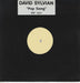 David Sylvian Pop Song - Title Stickered Sleeve UK Promo 12" vinyl single (12 inch record / Maxi-single) VST1221