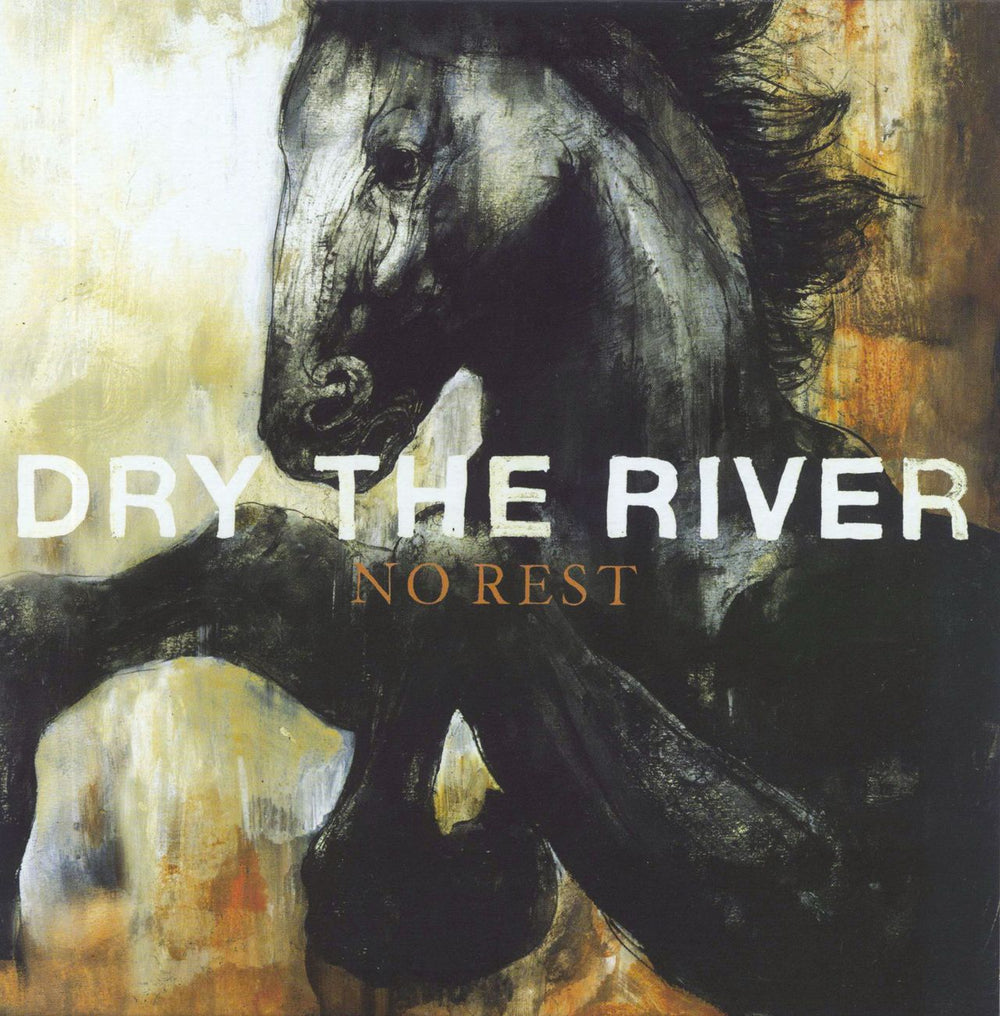 Dry The River No Rest UK 7" vinyl single (7 inch record / 45) 88697931427