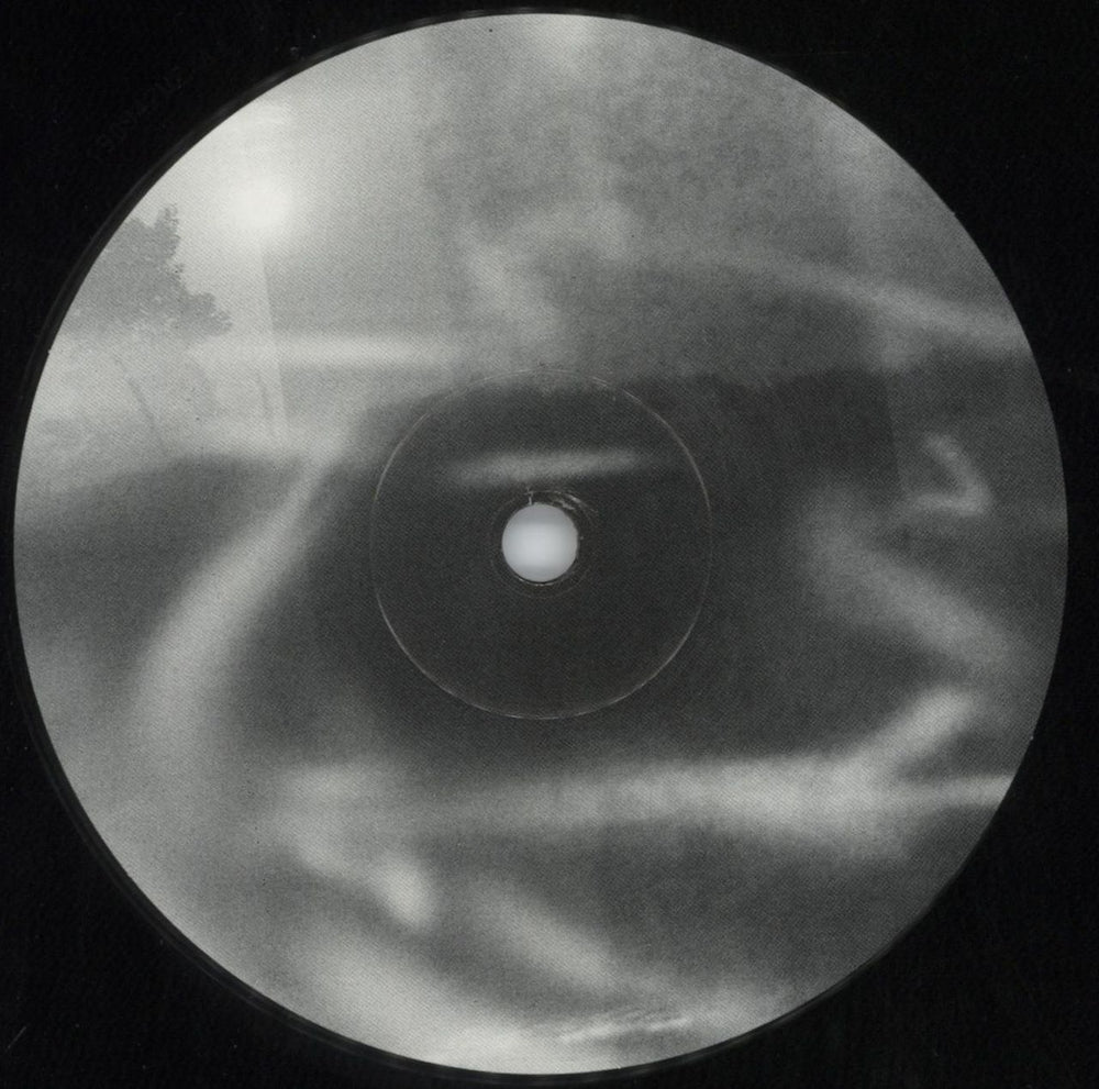 Frail Body A Brief Memorium US vinyl LP album (LP record) 40ALPAB816334