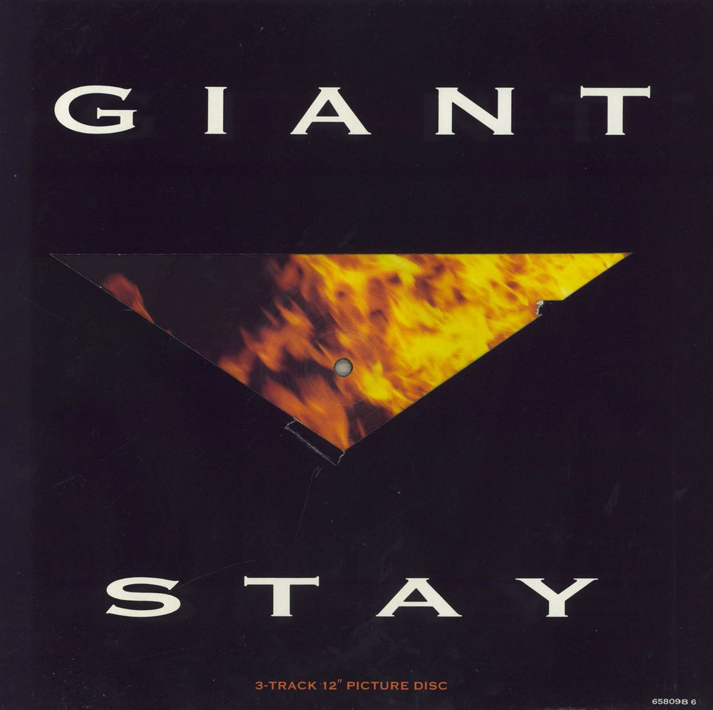 Giant Stay UK 12" vinyl picture disc (12 inch picture record) 6580986