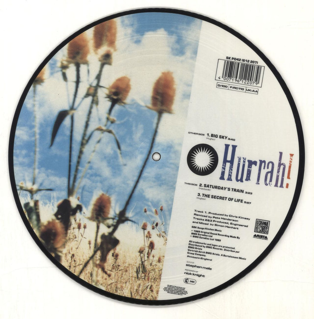 Hurrah! Big Sky UK 10" Vinyl Picture Disc (10 inch Record Single) HRH1PBI99929