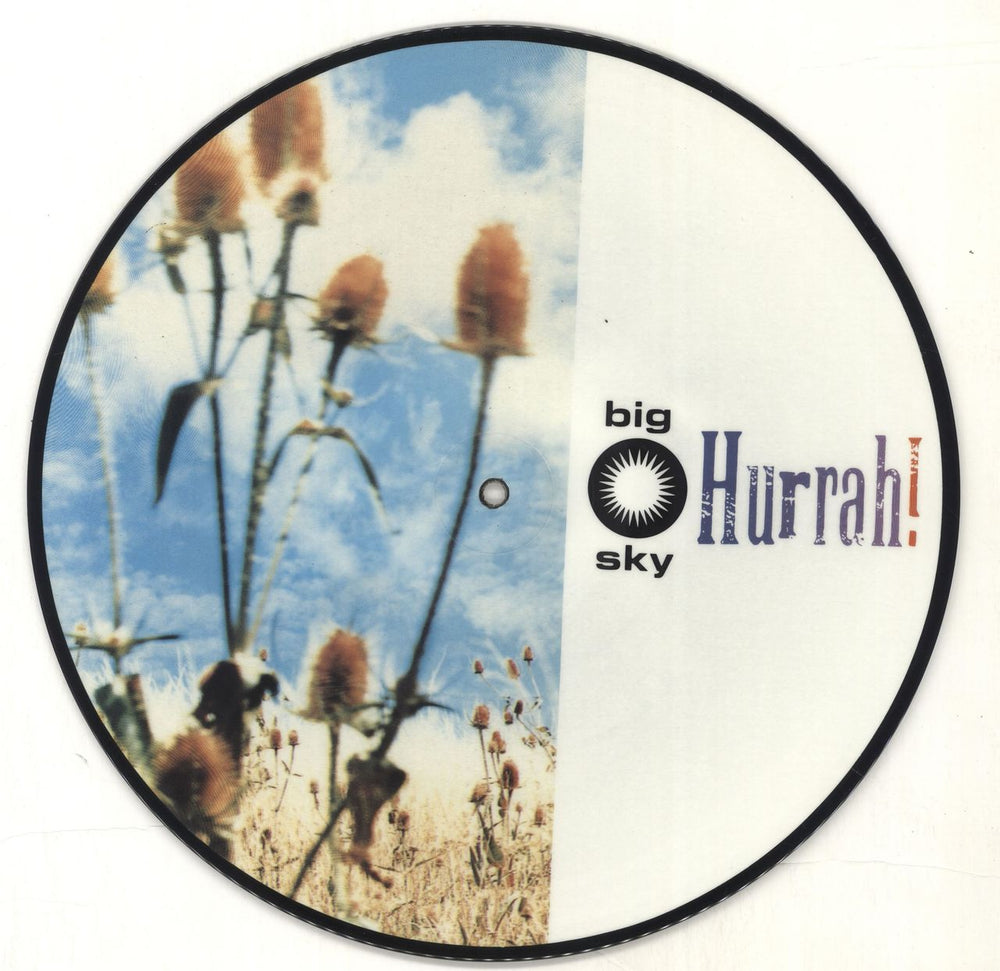 Hurrah! Big Sky UK 10" Vinyl Picture Disc (10 inch Record Single) SKPD42