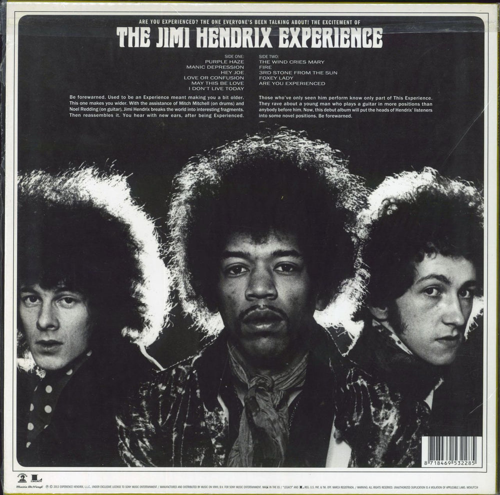 Jimi Hendrix Are You Experienced: Remastered + Stickered UK vinyl LP album (LP record) 8718469532285