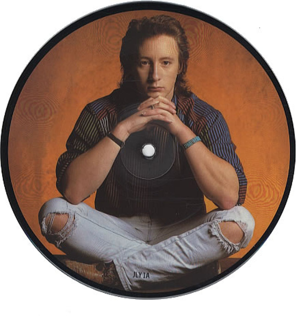 Julian Lennon Too Late For Goodbyes UK 7" vinyl picture disc (7 inch picture disc single) JLY1