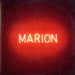 Marion The Program Sampler UK Promo CD single (CD5 / 5") MARCD1