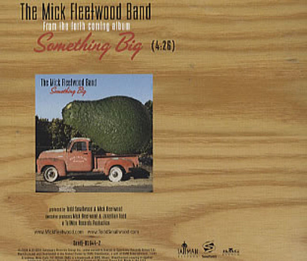 Mick Fleetwood Something Big US Promo CD single (CD5 / 5") SANDJ-85644-2