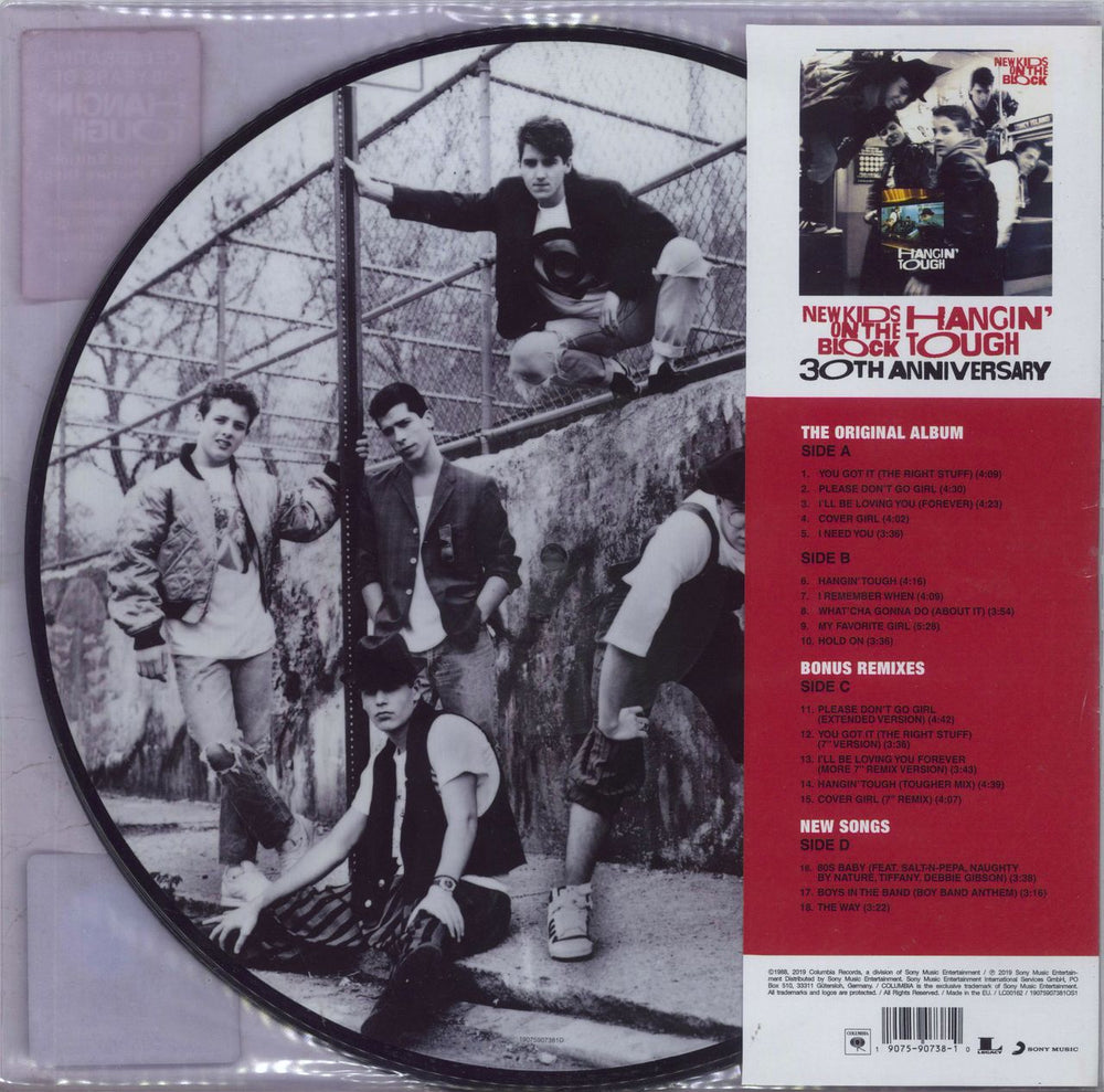 New Kids On The Block Hangin' Tough: 30th Anniversary US picture disc LP (vinyl picture disc album) 190759073810