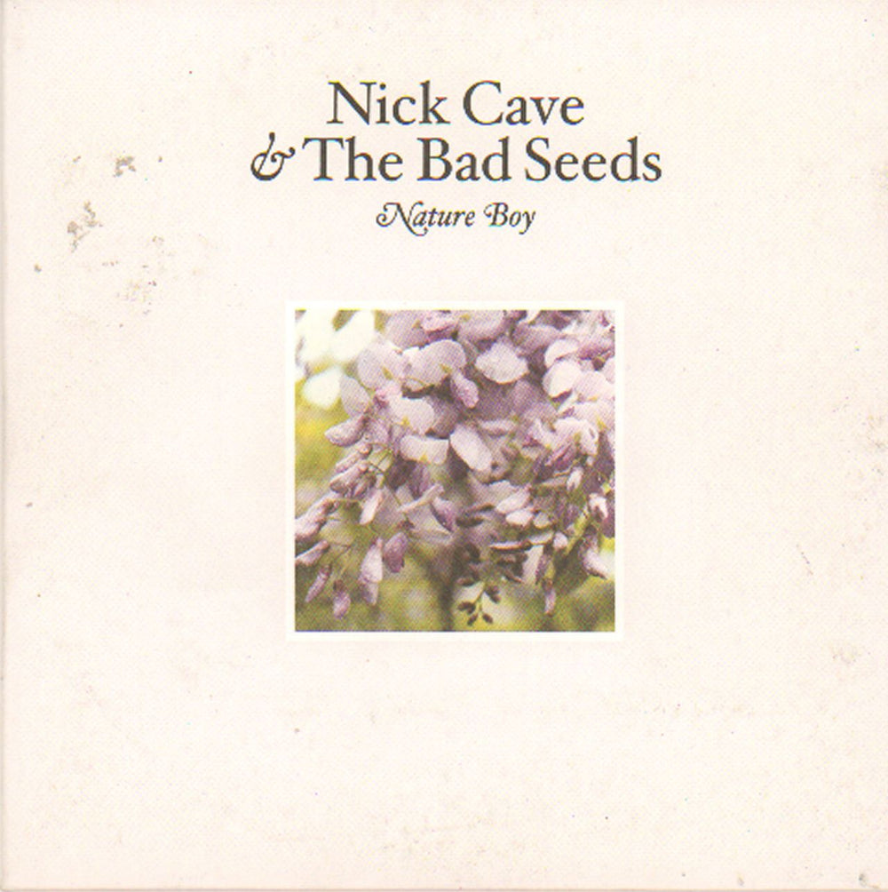 Nick Cave Nature Boy UK CD single (CD5 / 5") CDMUTE324