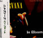 Nirvana (US) In Bloom Japanese CD single (CD5 / 5") MVCG-13002