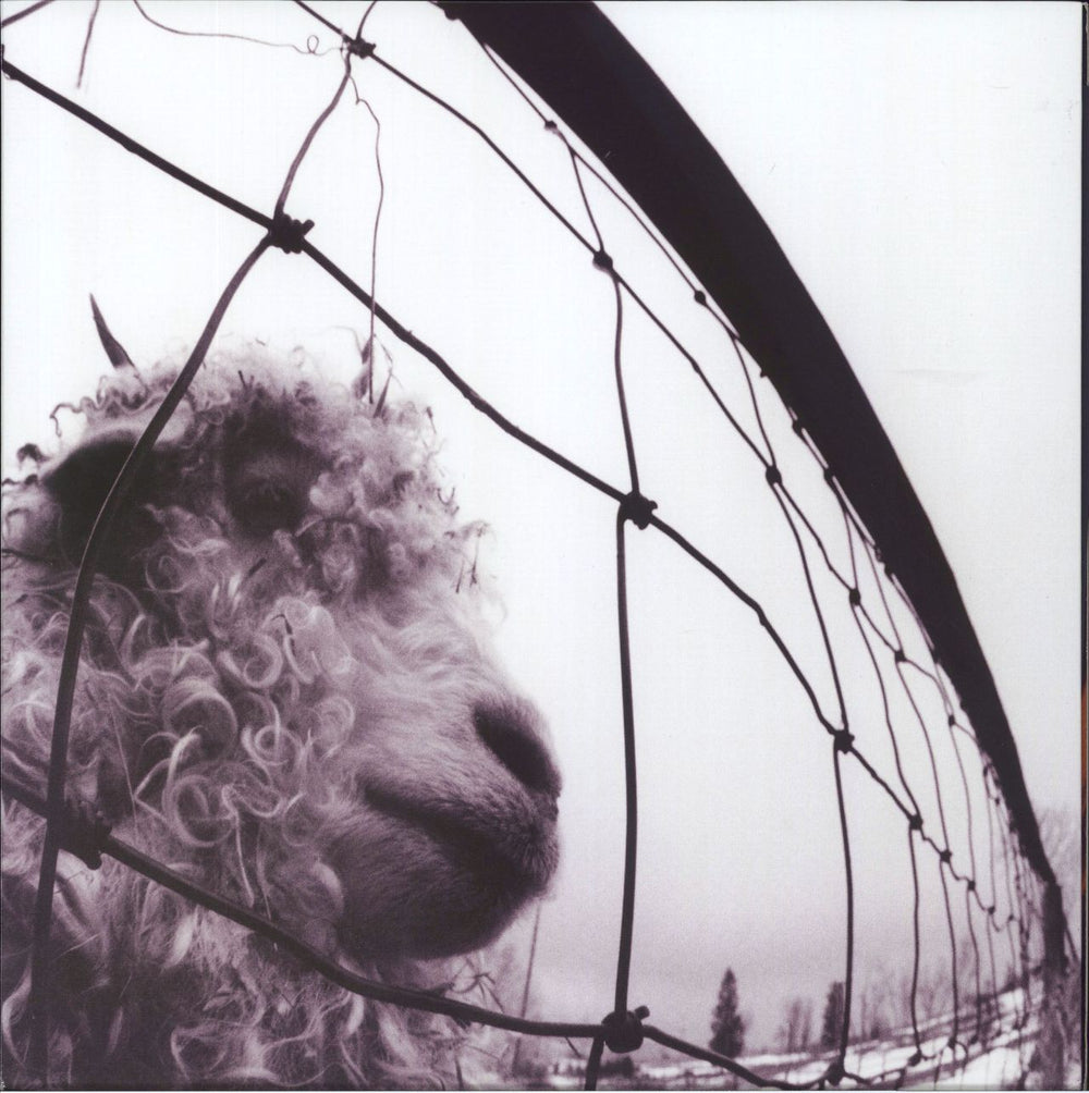 Pearl Jam Vs - Remastered 180 Gram UK vinyl LP album (LP record) 88697843131