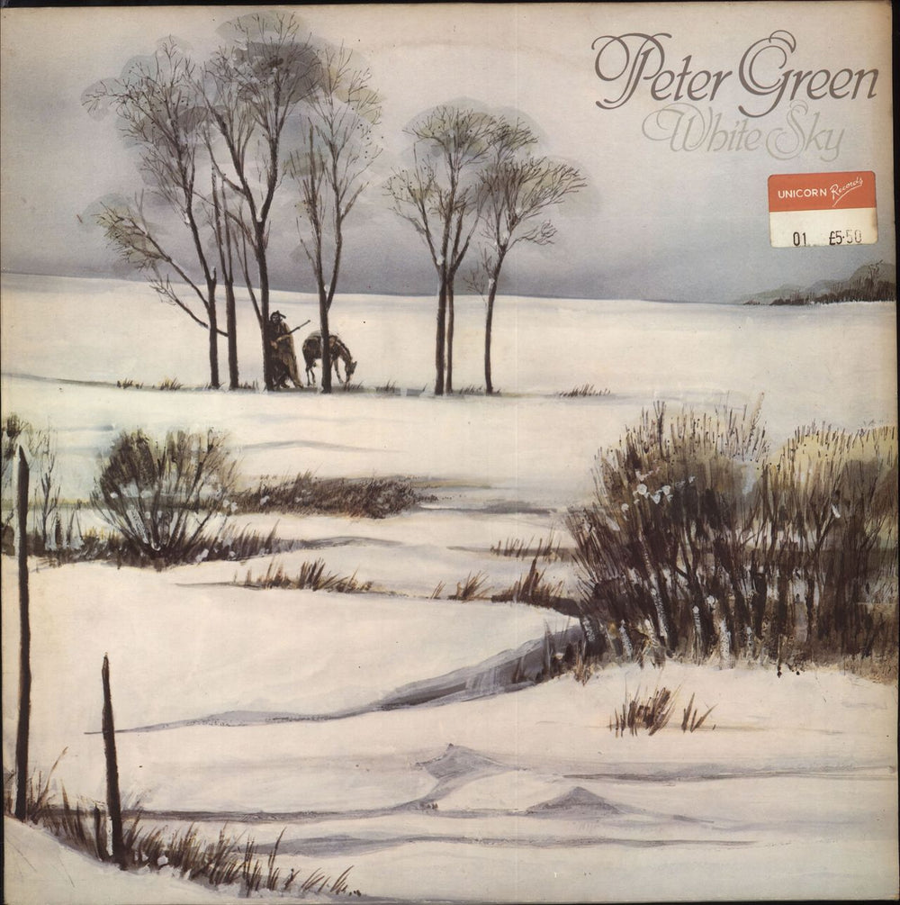 Peter Green White Sky - EX UK vinyl LP album (LP record) HED1