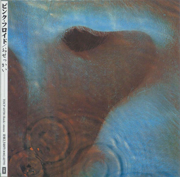 Pink Floyd Meddle CD  Shop the Pink Floyd Official Store