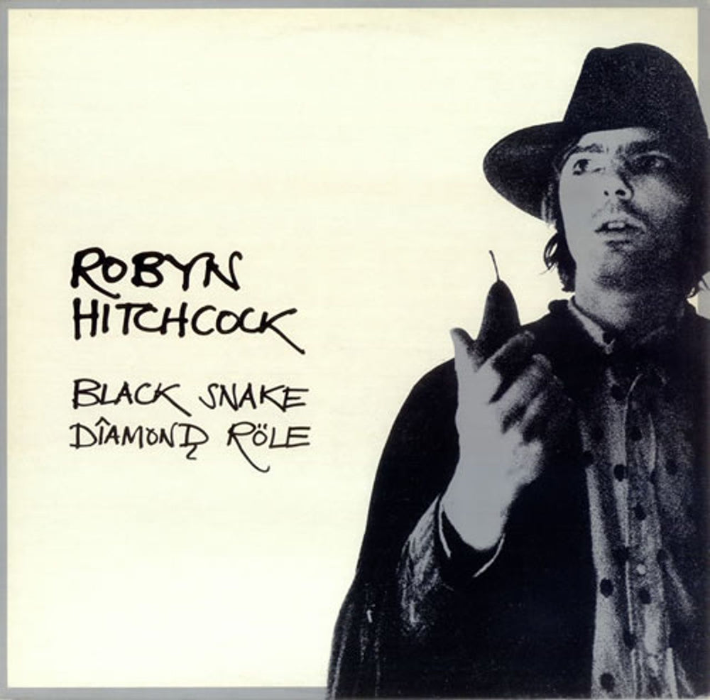 Robyn Hitchcock Black Snake Diamond Role UK vinyl LP album (LP record) ARM4