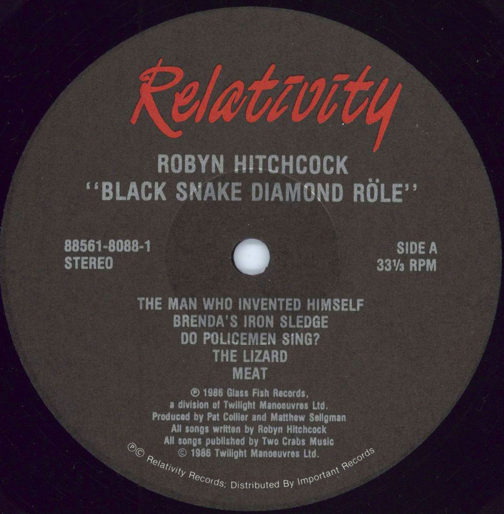 Robyn Hitchcock Black Snake Diamond Role US vinyl LP album (LP record) RHILPBL779654